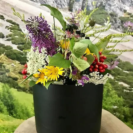 Daire Wellnessapartment Alpenland 22