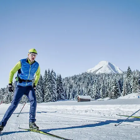 Wellnessapartment Alpenland 22 Appartement Seefeld in Tirol