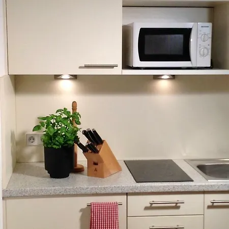 公寓 Wellnessapartment Alpenland 22 *